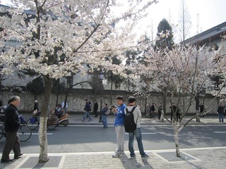 IMG_2562.JPG