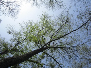 IMG_2603.JPG