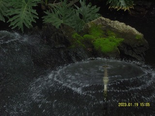 5C0A1D0E-6F5E-4F95-9D60-2D51DB7E5FEC/L0/001