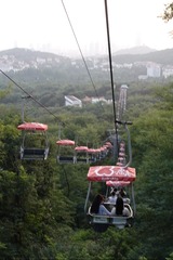 42263B5F-F776-4200-8D29-14552BFEDF99/L0/001