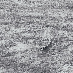 7536402F-3199-47BF-BA38-6FDD66783AC8/L0/001