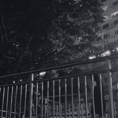 C5AA0206-358F-4206-BF7A-EF22AC684688/L0/001