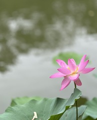214D9CEC-20FD-4445-9FA8-B732526BBA67/L0/001
