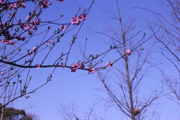 87F1A0B6-41DB-4646-B8F6-38B686B910EF/L0/001
