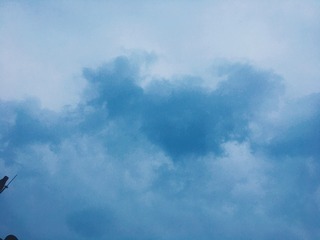 1EBC050D-7633-4BA7-8C3C-98161CA9C4C5/L0/001