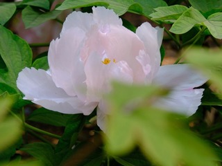E147881C-BE7C-4FF5-9801-4C0127669414/L0/001