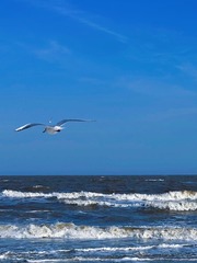 3D6C622E-1839-4C6F-8710-90A1CA19FCD0/L0/001