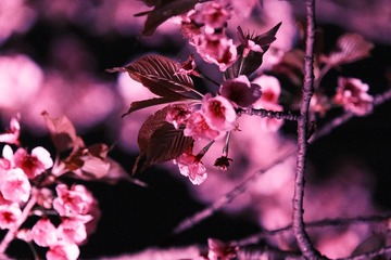 B07F7901-1379-49D1-80D6-4AC7DD993FFE/L0/001