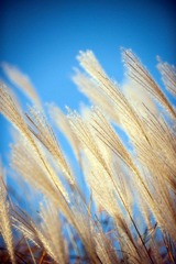 _7004381_缩小大小.jpg