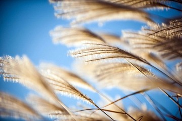 _7004384_缩小大小.jpg