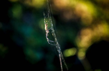 _7004437_缩小大小.jpg