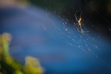 _7004442_缩小大小.jpg