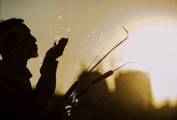 _7004452_缩小大小.jpg