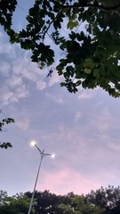 1000022833