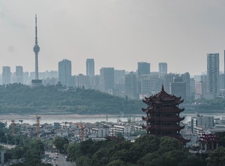 16073