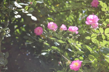 D5928DA3-142E-4249-9386-D2D8E9008E4F/L0/001