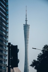 1000008796