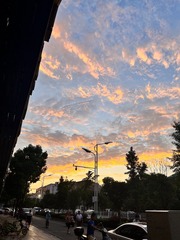 6C9595B7-EDF4-46AD-AB24-7125BD461C78/L0/001