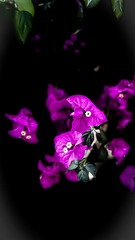 372748F9-5F70-46D8-967B-E21296EF82E3/L0/001