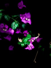 A101CA92-BD44-4935-A95F-2B4B946982BF/L0/001