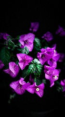 76F46255-9973-4C67-BD8C-1334747973E6/L0/001