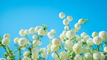 8FAE0E2F-198D-4D8C-BE2F-53A6369ACCA5/L0/001