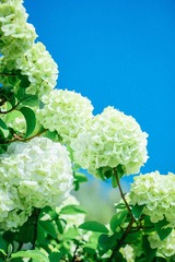 BF018544-935B-4A67-9F6E-F3BC322B5582/L0/001