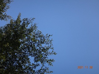 BDF281CC-51A6-4F17-81AF-5950AC5AADD1/L0/001