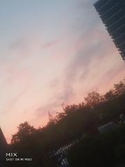654817