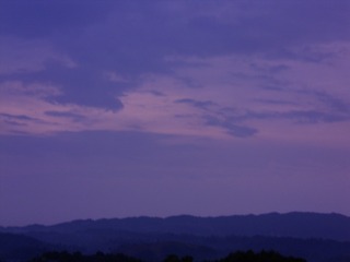 142302