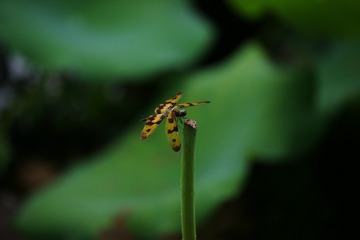 001