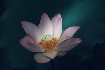 001