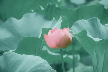 001