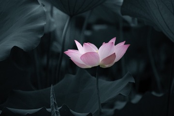 001