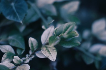 116776A4-1C2E-4708-BC0D-3D96E136E707/L0/001