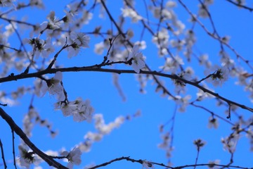 A548A6D9-83B0-4015-BE54-E93E0688FD99/L0/001