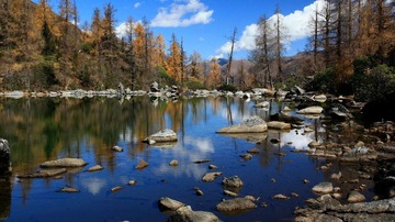_MG_5080.JPG
