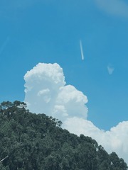 7DC86F0D-7682-4A63-876C-C48BC7AE21D3/L0/001