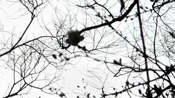 79CF70D2-262D-443B-BC29-DA26AD9CC80B/L0/001