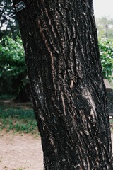FEF5C50F-AF3C-4C80-AAED-88944F2DF994/L0/001