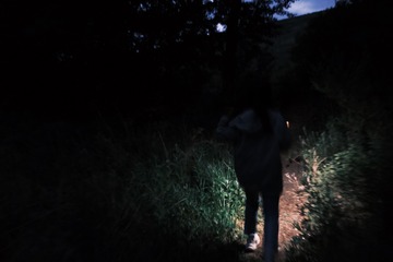 D128D167-A7C1-4FAA-A17D-0E6AE55856AF/L0/001