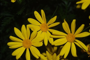 06156B7F-4A73-49BB-AFF1-88856584F386/L0/001