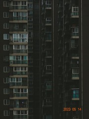 1000008541