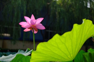 2016_0716_07434700