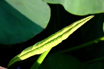 2016_0716_08012800