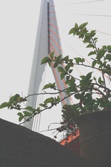 167435