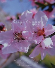 25C9B5A1-6FBE-4F93-B3D0-B2879AC7A611/L0/001