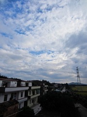 IMG_1495.jpg