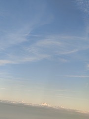 1000022573