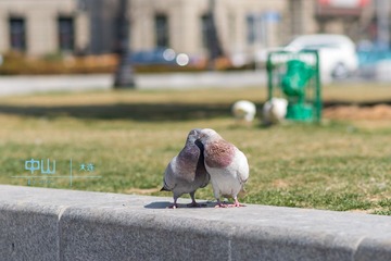 DSC_0599_ys